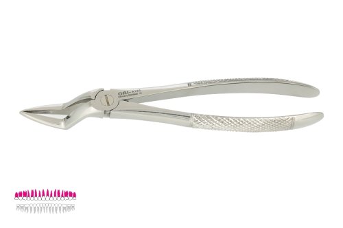 Przejdź do produktu ROY-A130, KLESZCZE EKSTRAKCYJNE BERTEN FIG. 51 L