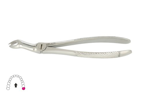 Przejdź do produktu ROY-A133, KLESZCZE EKSTRAKCYJNE BERTEN FIG. 67 L