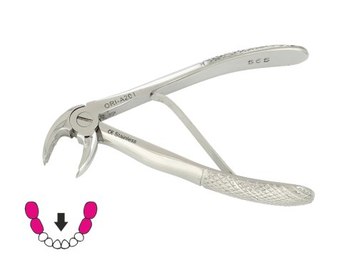 Przejdź do produktu ROY-A201, KLESZCZE EKSTRAKCYJNE BERTEN FIG.566