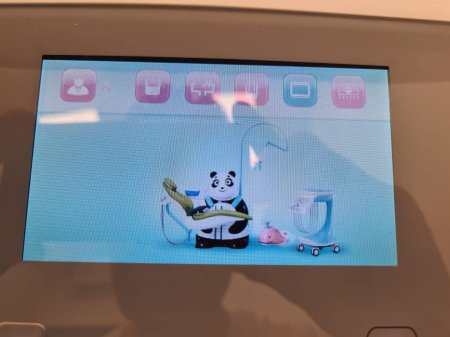 panda6.jpg