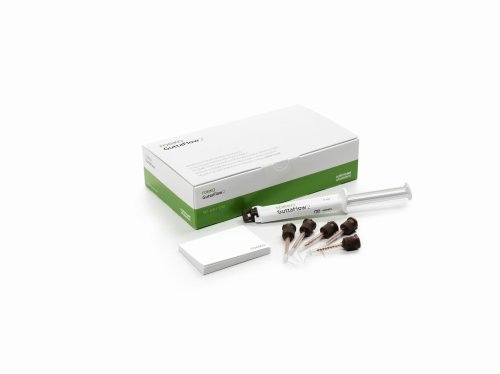 Przejdź do produktu Guttaflow 2 - zestaw wprowadzający, 1 szt.
