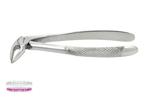 Przejdź do produktu ROY-A119, KLESZCZE EKSTRAKCYJNE BERTEN FIG. 33 L