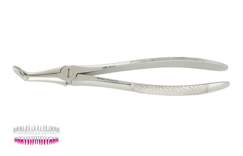 Przejdź do produktu ROY-A125, KLESZCZE EKSTRAKCYJNE BERTEN FIG. 46 M