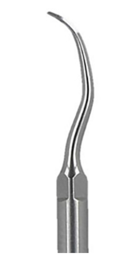 Przejdź do produktu Końcówka do skalera SKALING G10 (EMS) 