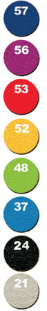 13.png