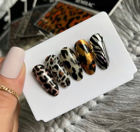 wild_animals_na_kciuku_223_soft_grey.jpg
