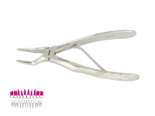 Przejdź do produktu ROY-A199, KLESZCZE EKSTRAKCYJNE BERTEN FIG. 562