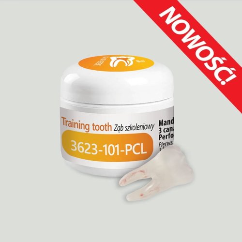 Przejdź do produktu Ząb szkoleniowy 3623-101