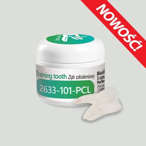 Przejdź do produktu Ząb szkoleniowy 2633-101