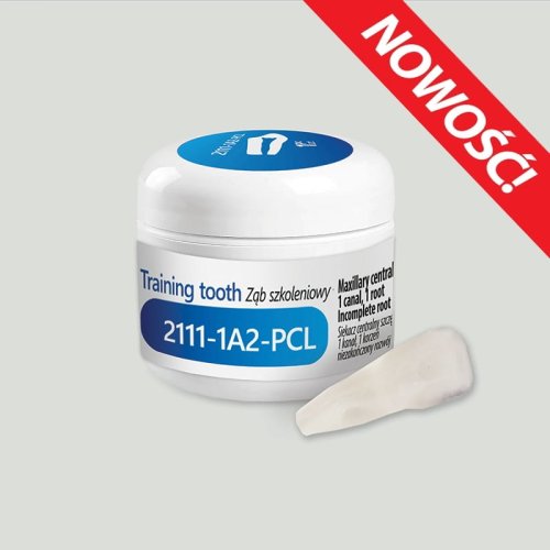 Przejdź do produktu Ząb szkoleniowy 2111-1A2