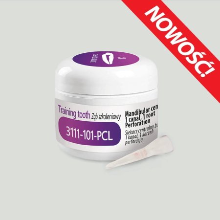 3111-101-pcl-nowosc.jpg