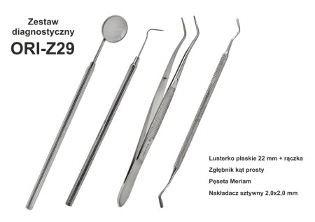 Z29.jpg