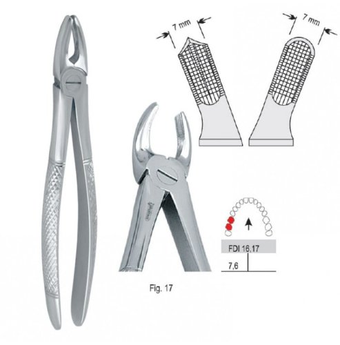Przejdź do produktu Kleszcze ekstrakcyjne mod. Europejski do zębów trzonowych górnych prawych fig. 17