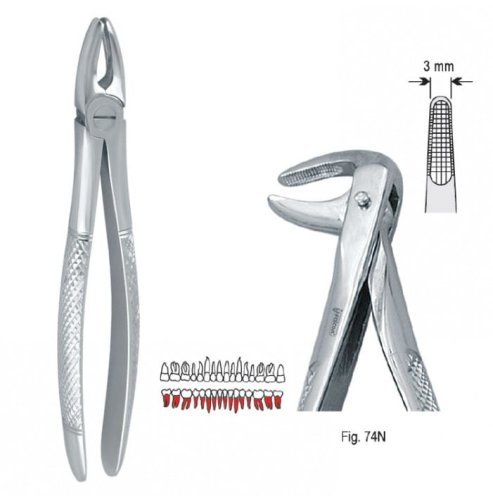 Przejdź do produktu Kleszcze ekstrakcyjne mod. Europejski do korzeni dolnych fig. 74N