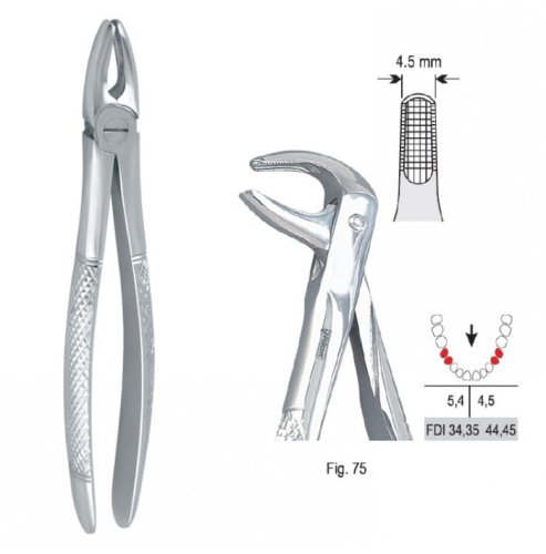Przejdź do produktu Kleszcze ekstrakcyjne mod. Europejski do zębów przedtrzonowych dolnych fig.75