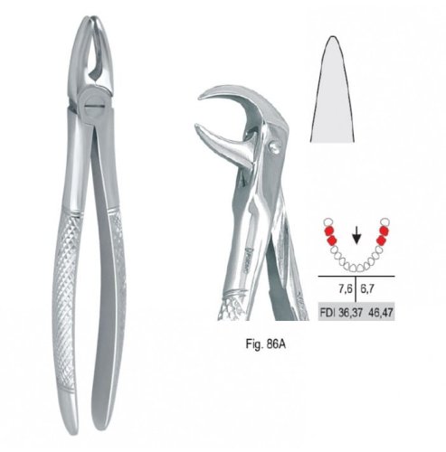 Przejdź do produktu Kleszcze ekstrakcyjne mod. Europejski do zębów trzonowych dolnych fig. 86A