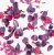 flower-orchid3.jpg
