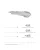 5.webp