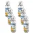 6xmango.webp