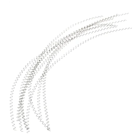 13.webp