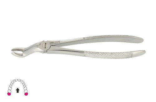 Przejdź do produktu ROY-A132, KLESZCZE EKSTRAKCYJNE BERTEN FIG. 67 A