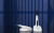 c-fill-mini.5.webp