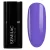 975_png.webp