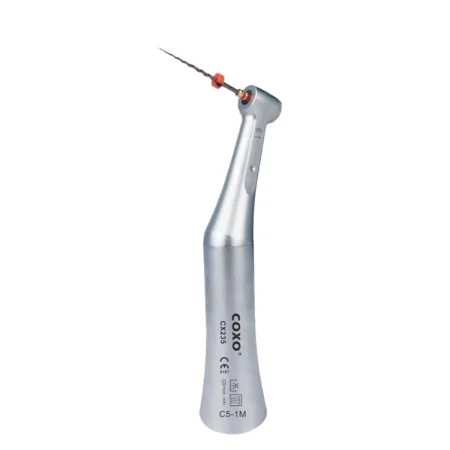coxo-c5-1.webp