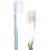 big_36652-ROYAL-DENTA-Brush-Cup-etui-na-glowke-szczoteczki-do-zebow-02.jpg