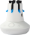 fcw-fsu-capsules-ds-rps-en.png