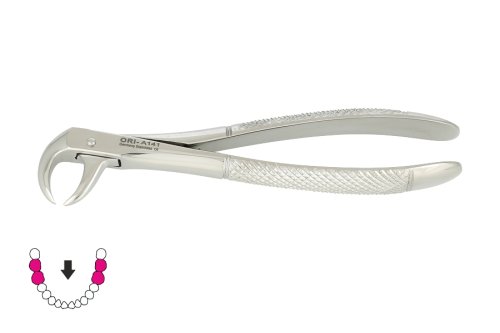 Przejdź do produktu ROY-A141, KLESZCZE EKSTRAKCYJNE BERTEN FIG. 86 A