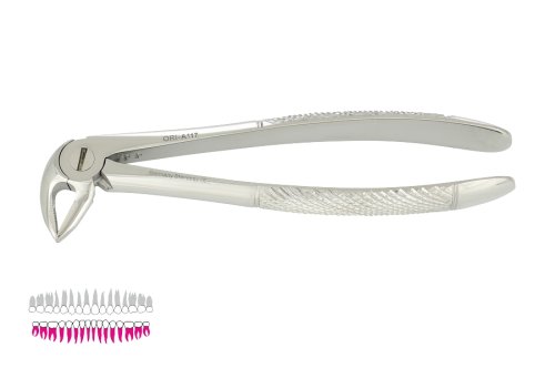 Przejdź do produktu ROY-A117, KLESZCZE EKSTRAKCYJNE BERTEN FIG. 33