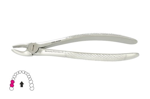 Przejdź do produktu ROY-A124, KLESZCZE EKSTRAKCYJNE BERTEN FIG. 39 R