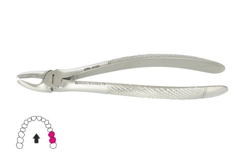 Przejdź do produktu ROY-A123, KLESZCZE EKSTRAKCYJNE BERTEN FIG. 39 L