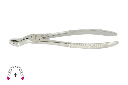 Przejdź do produktu ROY-A148, KLESZCZE EKSTRAKCYJNE BERTEN FIG. 100