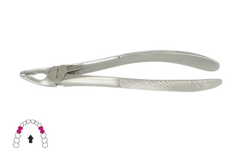 Przejdź do produktu ROY-A121, KLESZCZE EKSTRAKCYJNE BERTEN FIG. 35