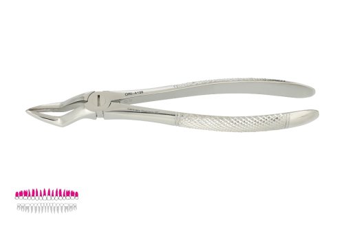 Przejdź do produktu ROY-A128, KLESZCZE EKSTRAKCYJNE BERTEN FIG. 51