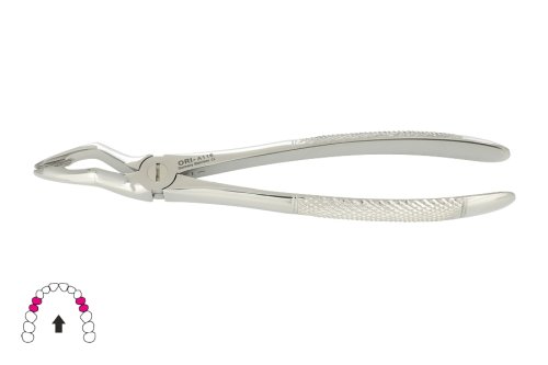 Przejdź do produktu ROY-A116, KLESZCZE EKSTRAKCYJNE BERTEN FIG. 31