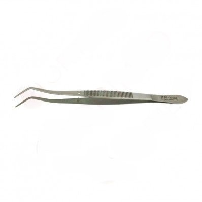 peseta-meriam-dl-16-cm.jpg