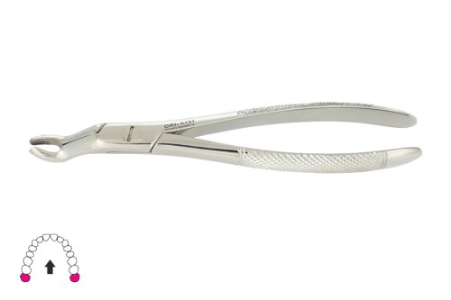 Przejdź do produktu ROY-A131, KLESZCZE EKSTRAKCYJNE BERTEN FIG.67