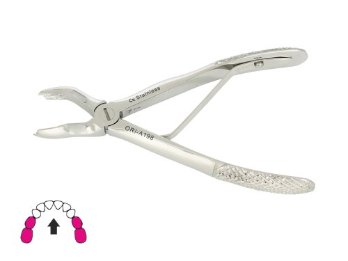 Przejdź do produktu ROY-A198, KLESZCZE EKSTRAKCYJNE BERTEN FIG. 563