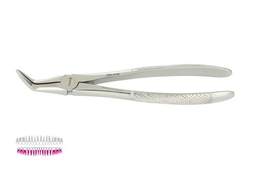 Przejdź do produktu ROY-A126, KLESZCZE EKSTRAKCYJNE BERTEN FIG. 46 L