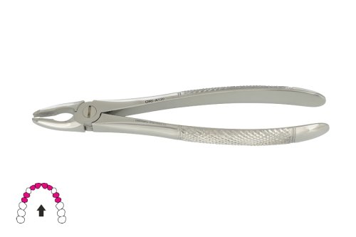 Przejdź do produktu ROY-A120, KLESZCZE EKSTRAKCYJNE BERTEN FIG. 34