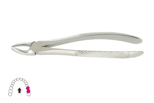 Przejdź do produktu ROY-A143, KLESZCZE EKSTRAKCYJNE BERTEN FIG. 90