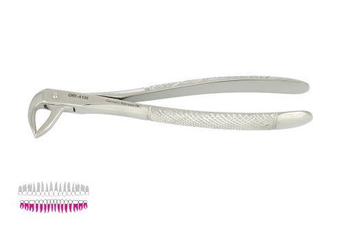 Przejdź do produktu ROY-A136, KLESZCZE EKSTRAKCYJNE BERTEN FIG. 74