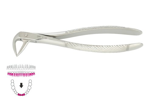 Przejdź do produktu ROY-A138, KLESZCZE EKSTRAKCYJNE BERTEN FIG. 74 XN