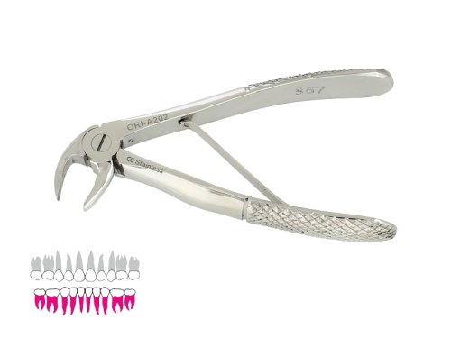 Przejdź do produktu ROY-A202, KLESZCZE EKSTRAKCYJNE BERTEN FIG. 567